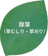 除草（草むしり・草刈り）